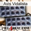 Vidalista Avis 31